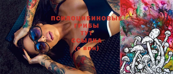 индика Новозыбков