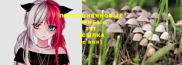 каннабис Аркадак