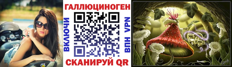 Купить где  Большой Камень  Галлюциногенные грибы Psilocybe 